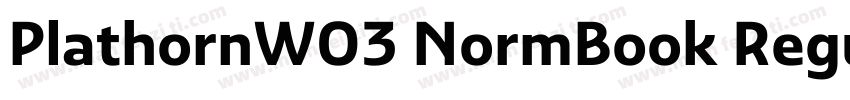 PlathornW03 NormBook Regular字体转换